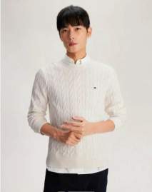 Picture of Tommy Sweaters _SKUTommyM-2XL9tzn313248806